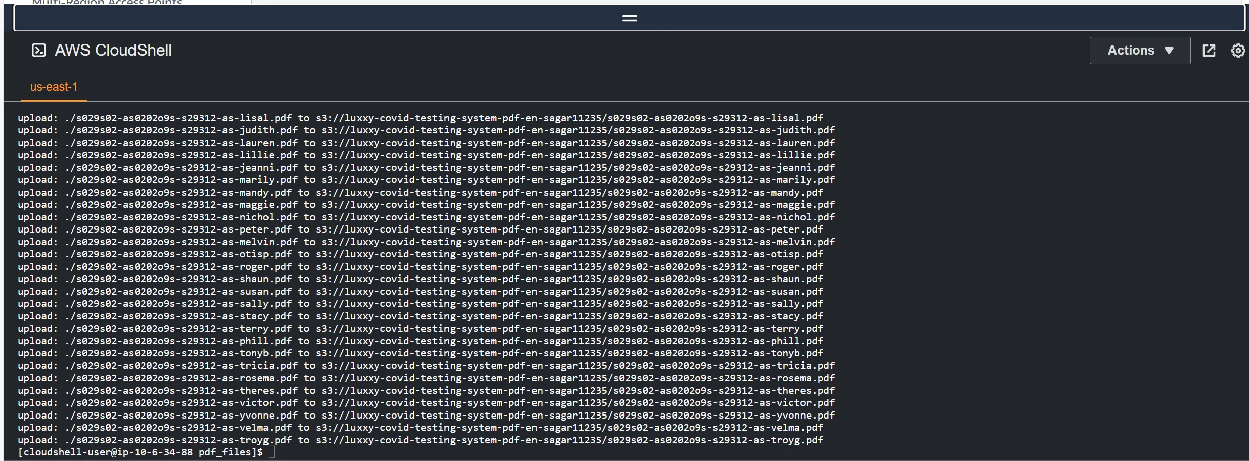 AWS CloudShell PDF Uploads